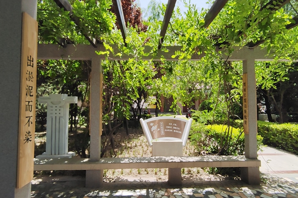 校园廉政文化长廊-清韵廊实景