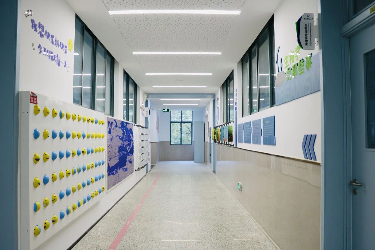 校园廊道文化墙策划设计