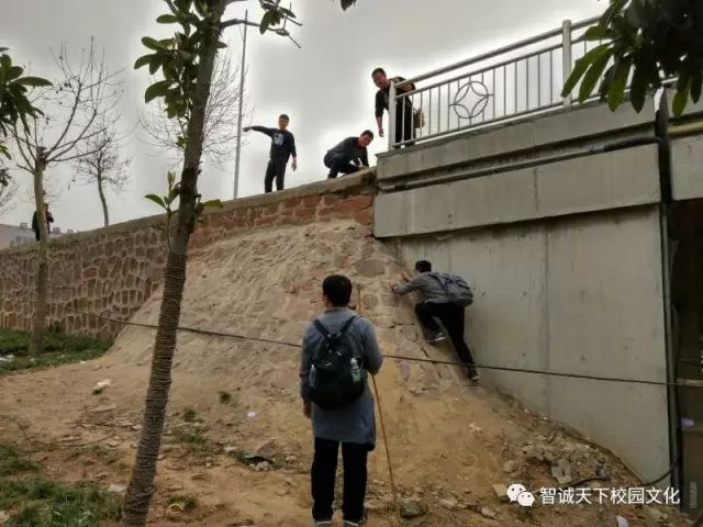 2017，我们昂首阔步向前行