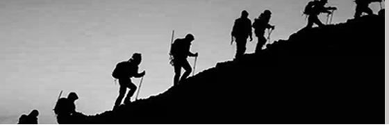 智诚天下文化坚持厚德自强